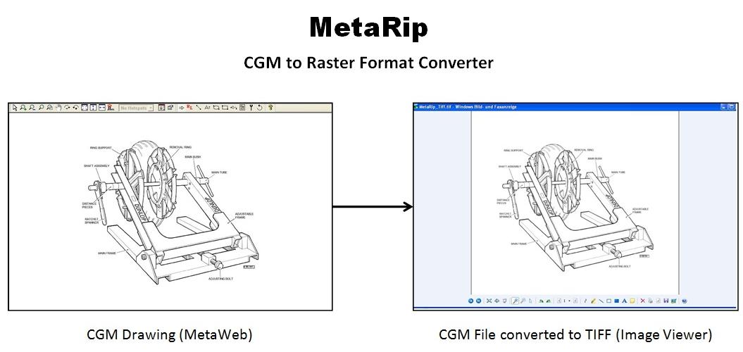 Metaweb Cgm Viewer